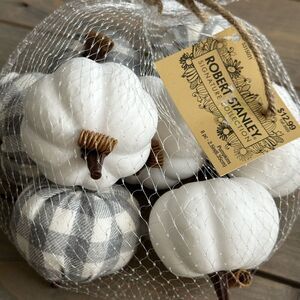 Robert Stanley Signature Collection Pumpkins 8 PC Fall‎ or Halloween Decor
